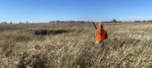 Pheasant Hunting in South Dakota