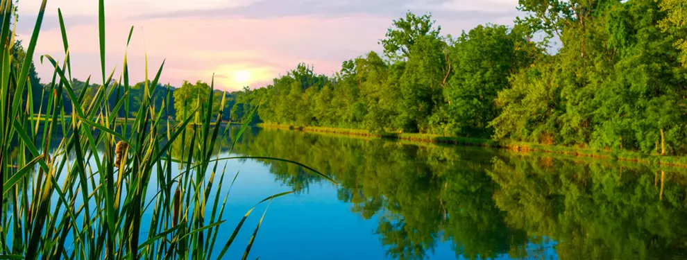 Small Pond in early morning-Howard County, Indiana