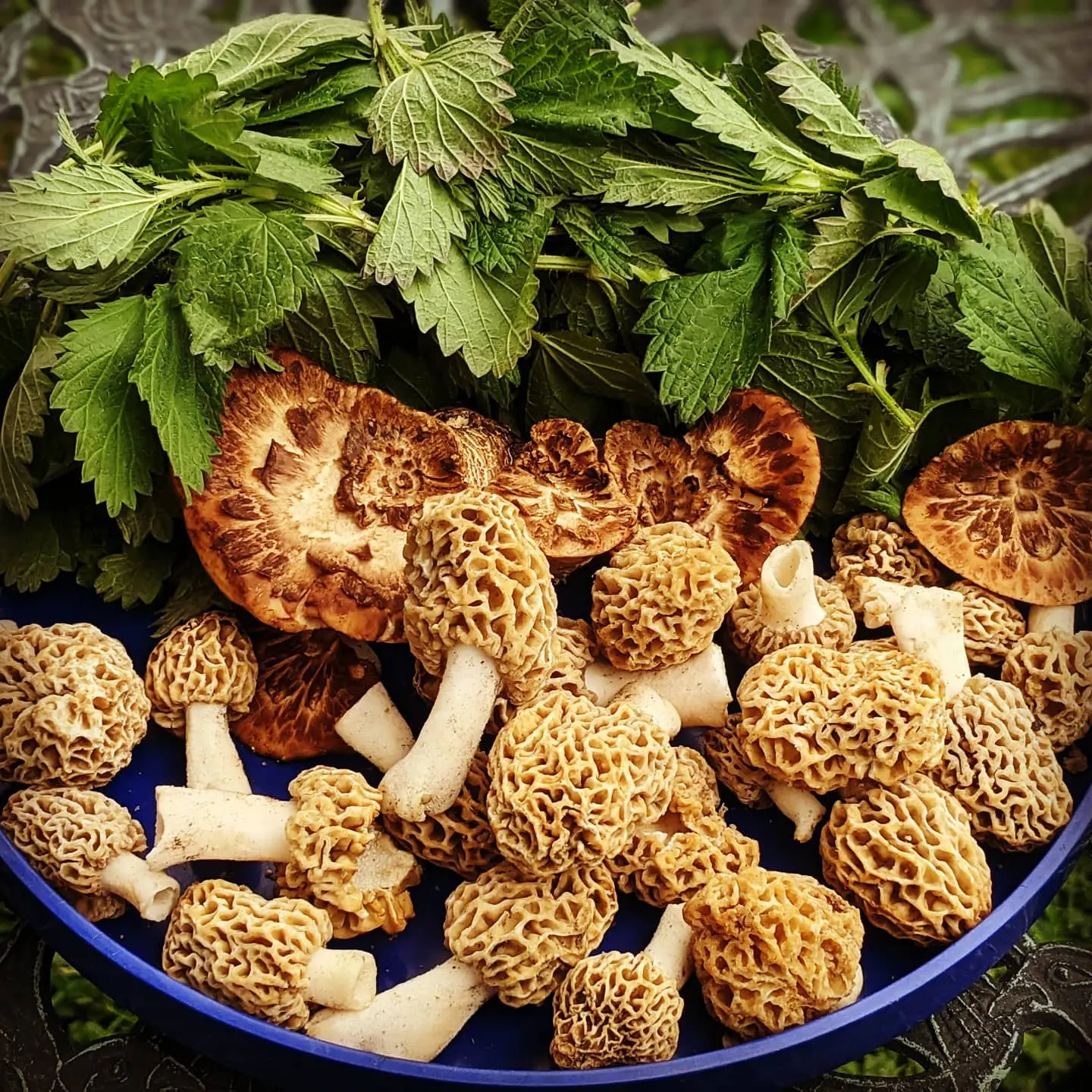 180803402_301642404966152_9213092895439468272_n-1-qmmTNI.tmp_