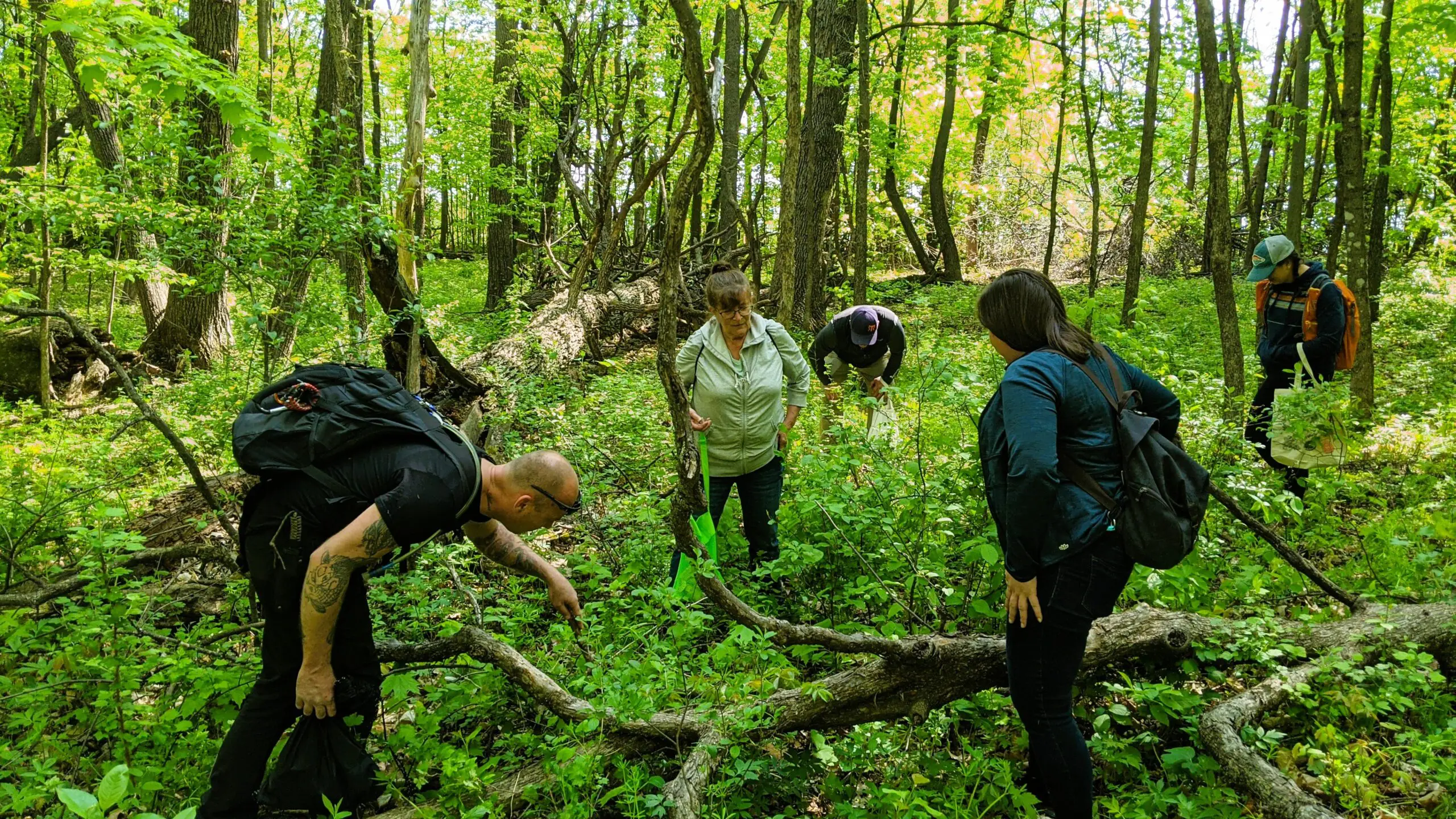 PXL_20210515_155959788-filter-eCTUNP.tmp_