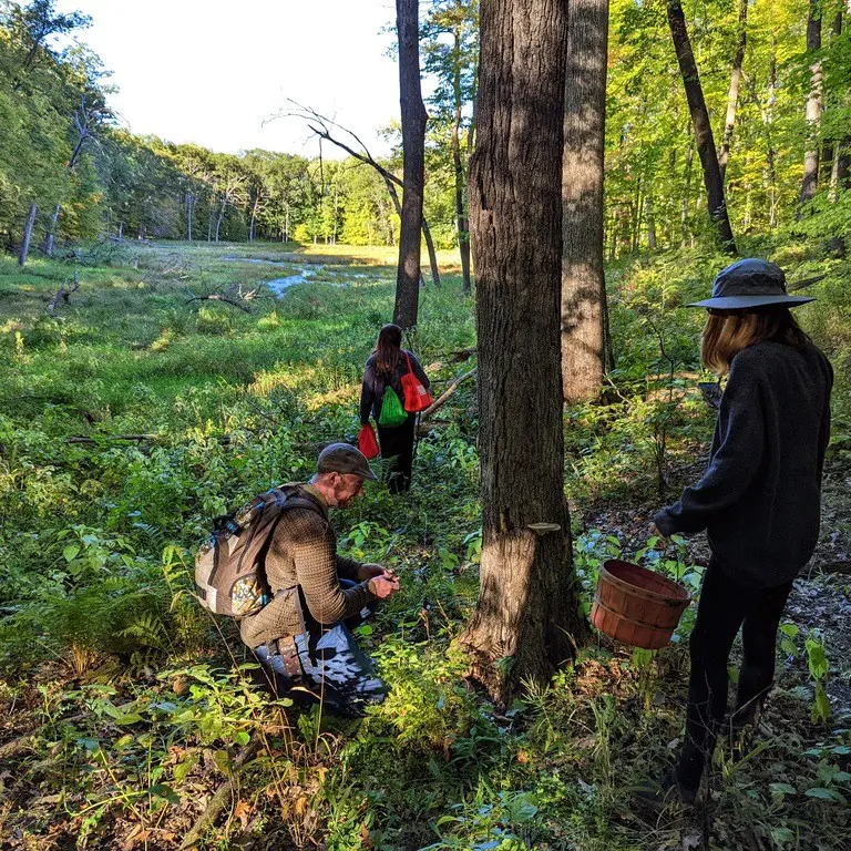 PXL_20220927_220004178.MP-1-2GQtLr.tmp_