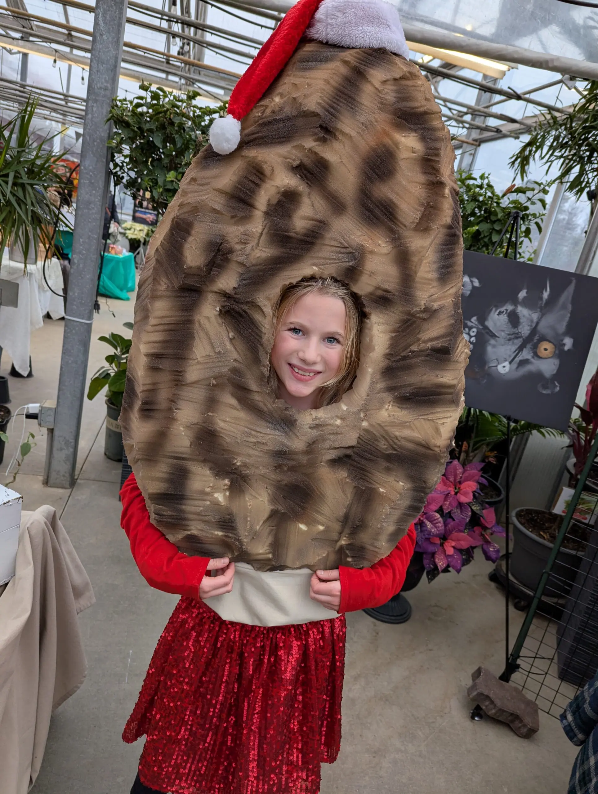 PXL_20241214_195027513-p8SUjn.tmp_