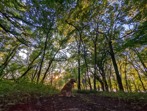 smallPXL_20220821_004006010.MP_-cbdRtd.tmp_