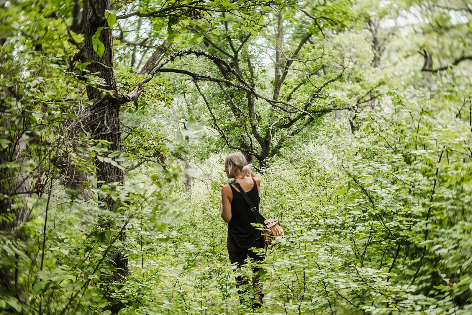 chickofthewoods-foraging-minnesota-62-of-157-axtOa8