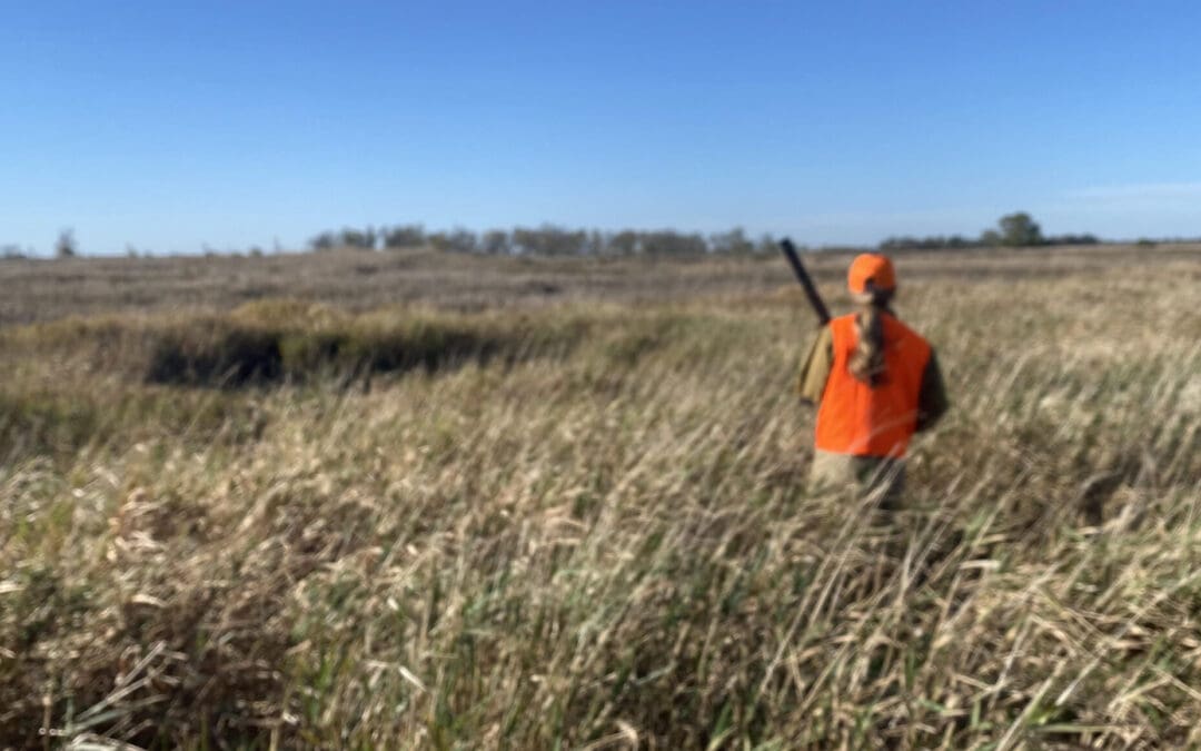 Pheasant Hunting in South Dakota