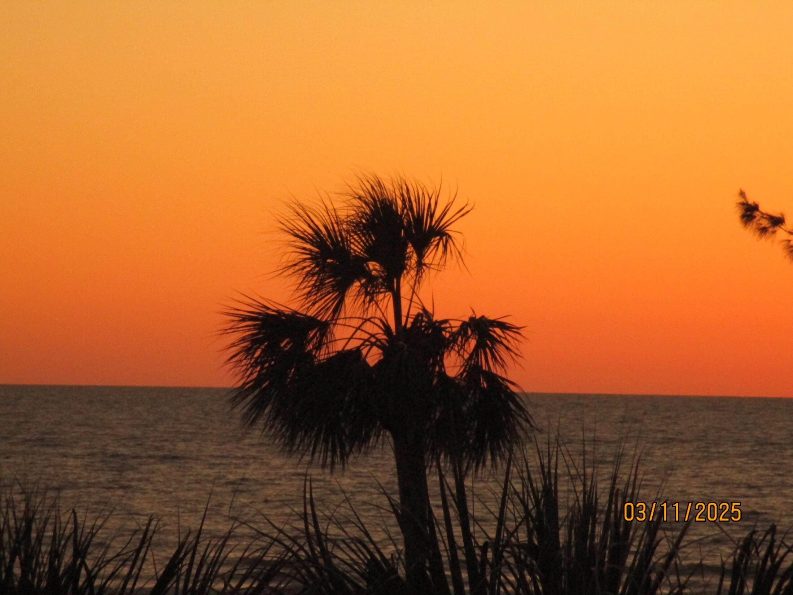 Beach sunset - Imagine Outdoors